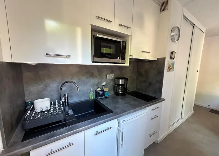 Appartement 4 Pers Pres De La Avec Garage - Fr-1-837-98 Argelès-sur-Mer